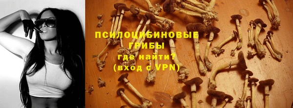 PSILOCYBIN Алексин