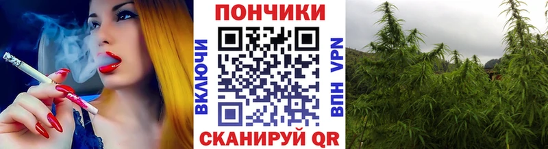 Бошки марихуана гибрид  Ардон 